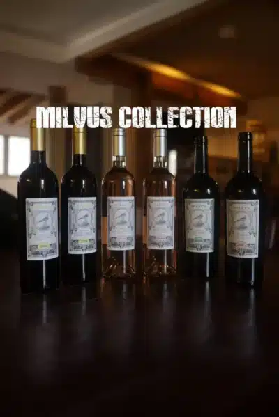 milvus-collection