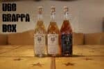 UGO Grappa