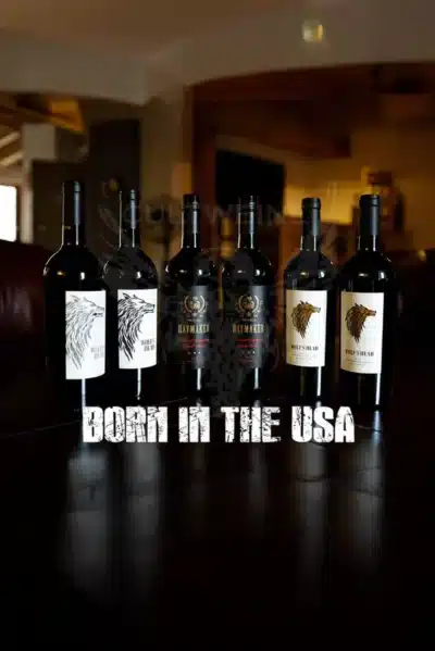 born-in-the-usa