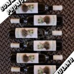 Il Resiano Friulano 6er Box (Sommer-Promo)